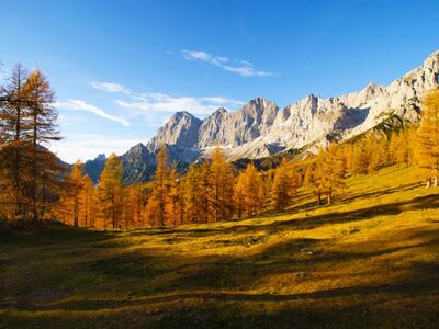 Herbst in der Ramsau mit gelben Lärchen